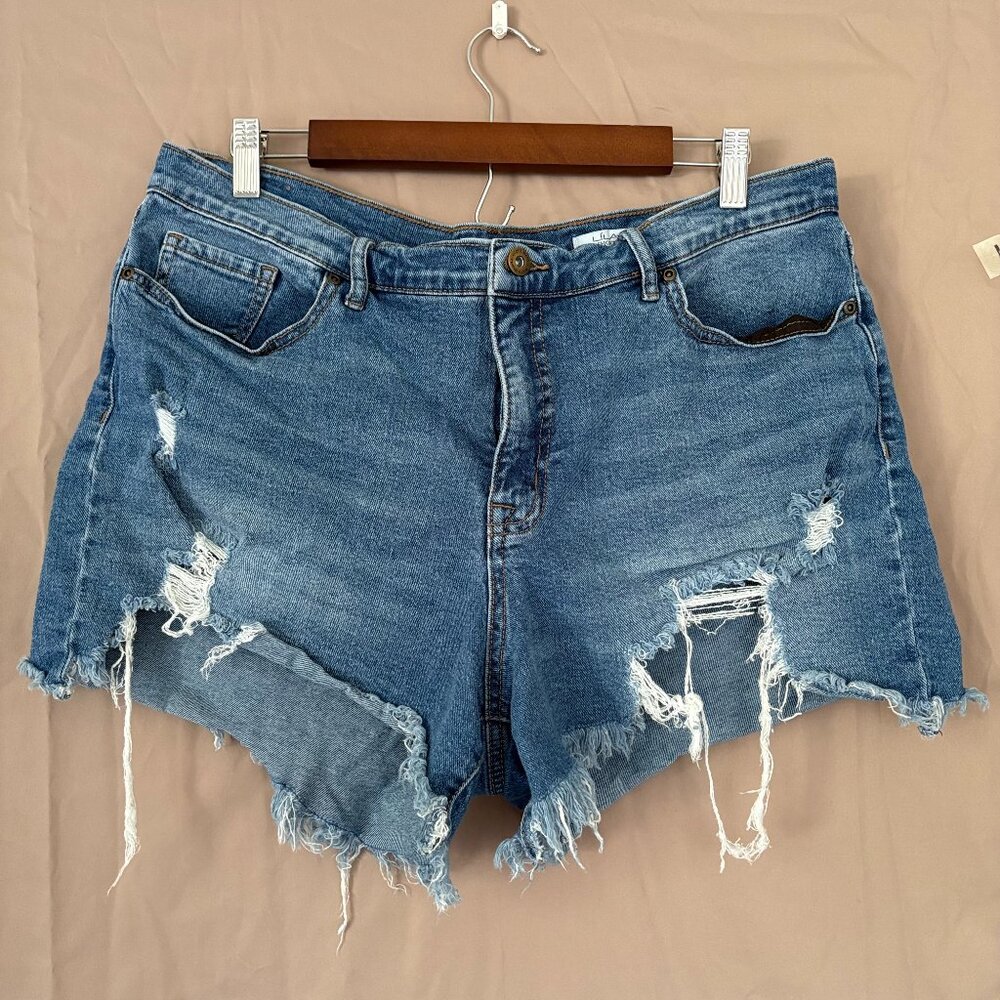 Sofia Jeans Mid Rise Medium Wash Distressed Denium Shorts Women's Size 18